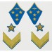 Петлицы командный состава, ВВС, Генерал-полковник, обр. 1940 г.